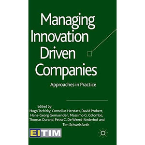 Managing Innovation Driven Companies: Approaches in Practice