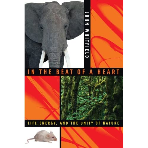 In the Beat of a Heart: Life, Energy, and the Unity of Nature