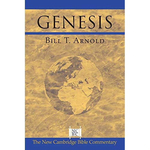 Genesis (New Cambridge Bible Commentary)
