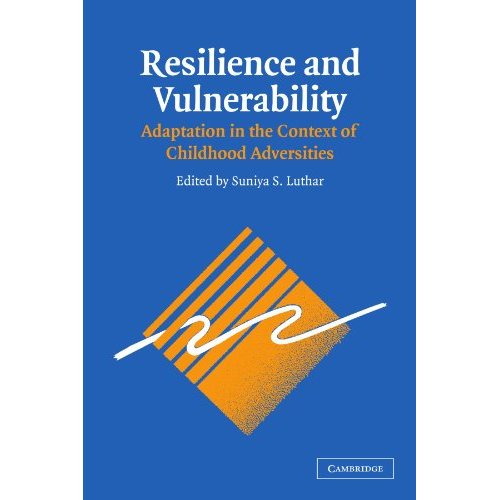 Resilience and Vulnerability: Adaptation in the Context of Childhood Adversities