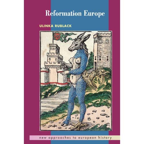 Reformation Europe (New Approaches to European History, Series Number 28)