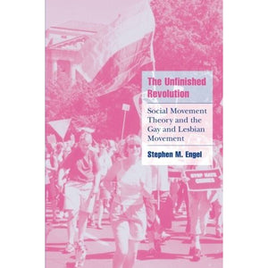 The Unfinished Revolution: Social Movement Theory and the Gay and Lesbian Movement (Cambridge Cultural Social Studies)