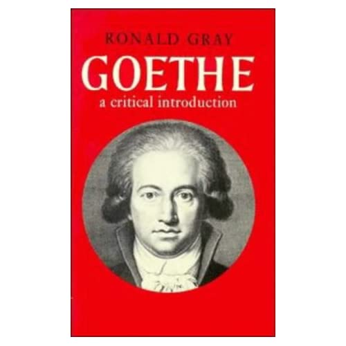 Goethe: A Critical Introduction