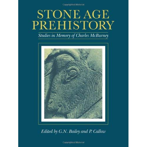 Stone Age Prehistory: Studies in Memory of Charles McBurney