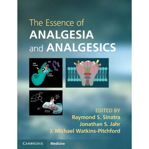 The Essence of Analgesia and Analgesics (Cambridge Medicine (Paperback))