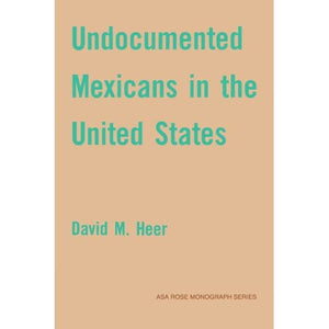 Undocumented Mexicans in the USA (American Sociological Association Rose Monographs)