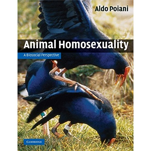 Animal Homosexuality: A Biosocial Perspective