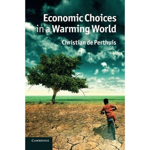 Economic Choices in a Warming World