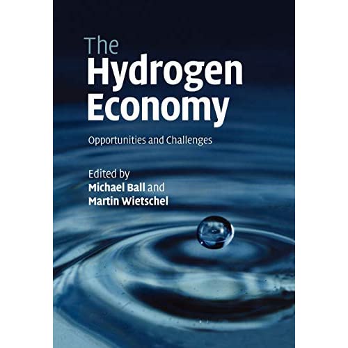 The Hydrogen Economy: Opportunities and Challenges