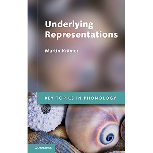 Underlying Representations (Key Topics in Phonology)