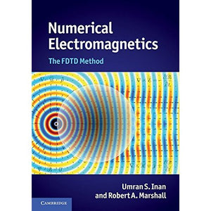 Numerical Electromagnetics