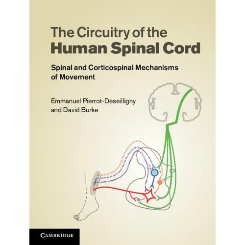 The Circuitry of the Human Spinal Cord: Spinal and Corticospinal Mechanisms of Movement