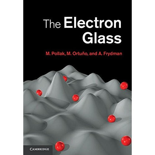 The Electron Glass