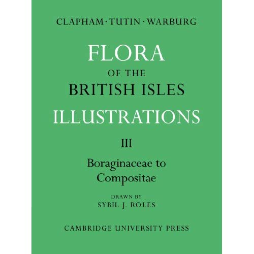 Flora of the British Isles 4 Volume Paperback Set: Flora of the British Isles: Illustrations Part III Boraginaceae-Compositae: Part 3