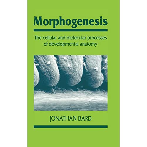 Morphogenesis: The Cellular and Molecular Processes of Developmental Anatomy: 23 (Developmental and Cell Biology Series, Series Number 23)