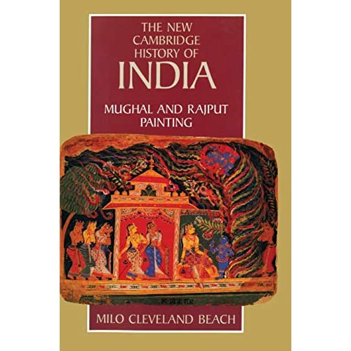 Mughal and Rajput Painting (The New Cambridge History of India)