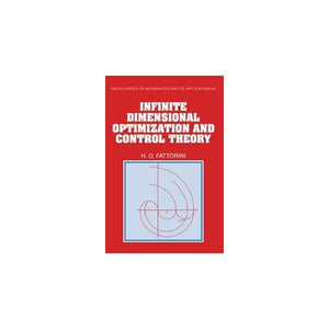 Infinite Dimensional Optimization and Control Theory: 62 (Encyclopedia of Mathematics and its Applications, Series Number 62)