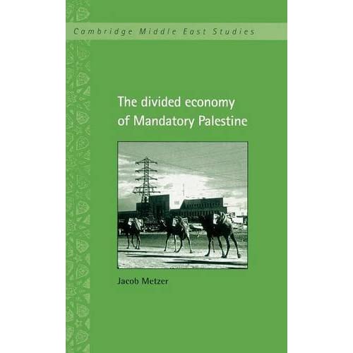 The Divided Economy of Mandatory Palestine: 11 (Cambridge Middle East Studies, Series Number 11)