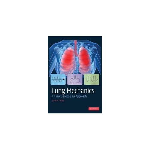 Lung Mechanics: An Inverse Modeling Approach