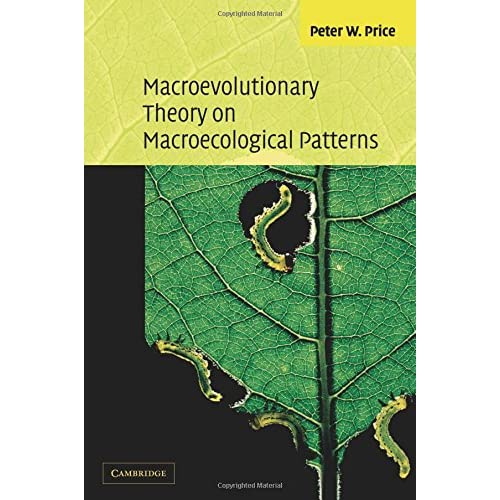 Macroevolutionary Theory on Macroecological Patterns