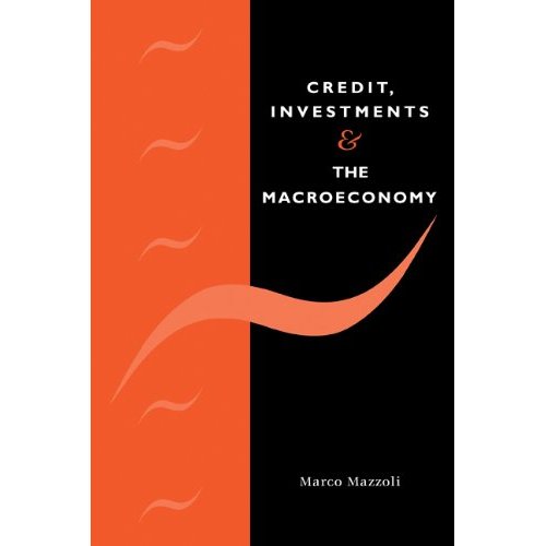 Credit, Investments and the Macroeconomy: A Few Open Issues