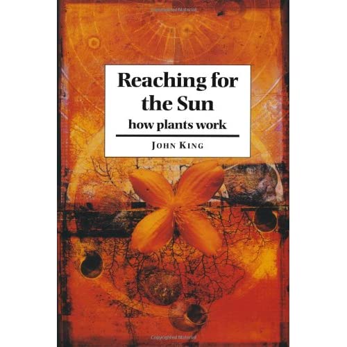 Reaching for the Sun: How Plants Work