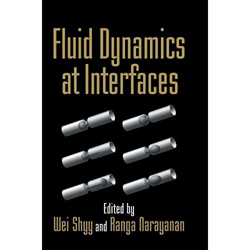 Fluid Dynamics at Interfaces