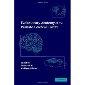 Evolutionary Anatomy of the Primate Cerebral Cortex