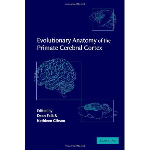 Evolutionary Anatomy of the Primate Cerebral Cortex