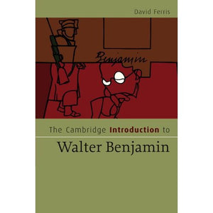 The Cambridge Introduction to Walter Benjamin (Cambridge Introductions to Literature)