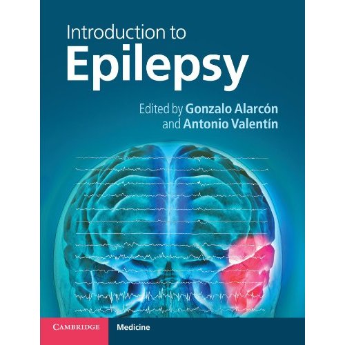 Introduction to Epilepsy (Cambridge Medicine (Paperback))