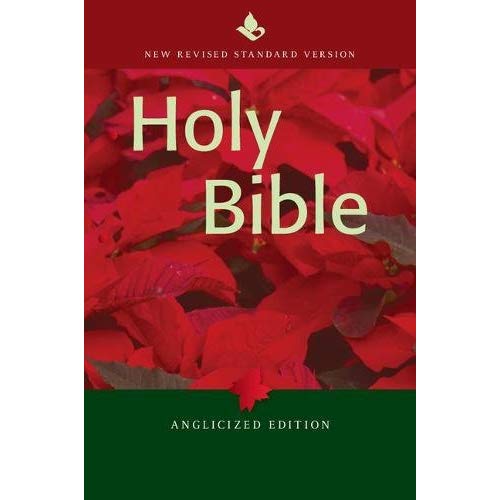 NRSV Popular Text Bible, NR530:T: Anglicized Edition: Anglicised Edition