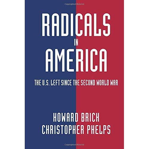 Radicals in America (Cambridge Essential Histories)