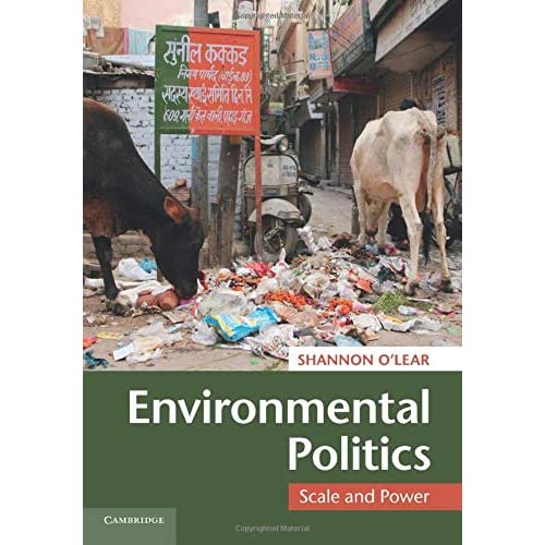 Environmental Politics: Scale and Power