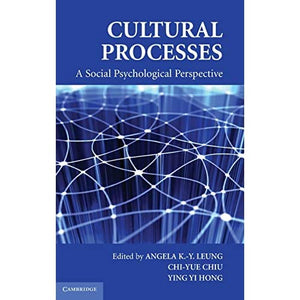 Cultural Processes: A Social Psychological Perspective (Culture and Psychology)