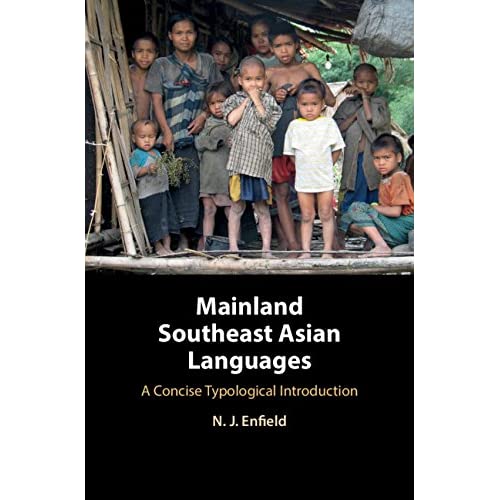 Mainland Southeast Asian Languages: A Concise Typological Introduction