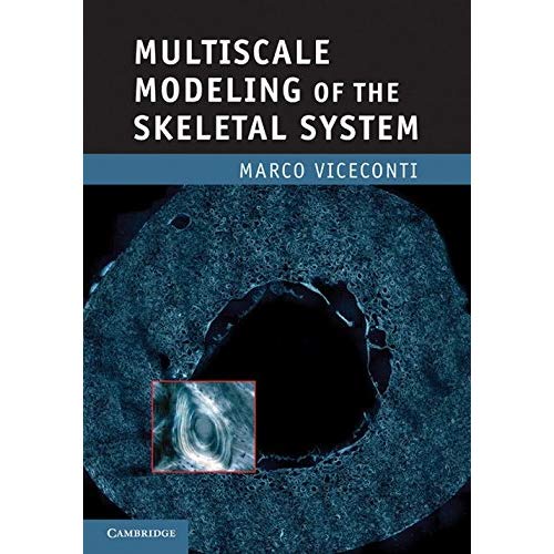 Multiscale Modeling of the Skeletal System