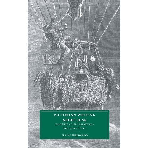 Victorian Writing about Risk: Imagining a Safe England in a Dangerous World: 28 (Cambridge Studies in Nineteenth-Century Literature and Culture, Series Number 28)