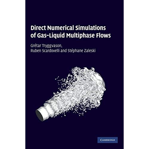 Direct Numerical Simulations of Gas–Liquid Multiphase Flows