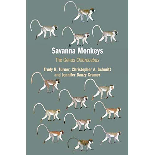Savanna Monkeys: The Genus Chlorocebus