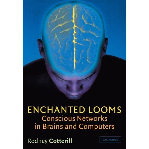 Enchanted Looms: Conscious Networks in Brains and Computers