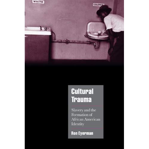 Cultural Trauma: Slavery and the Formation of African American Identity (Cambridge Cultural Social Studies)