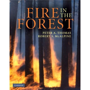 Fire in the Forest