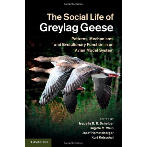 The Social Life of Greylag Geese: Patterns, Mechanisms and Evolutionary Function in an Avian Model System