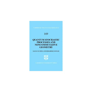 Quantum Stochastic Processes and Noncommutative Geometry: 169 (Cambridge Tracts in Mathematics, Series Number 169)