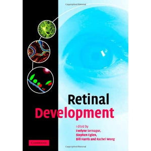 Retinal Development