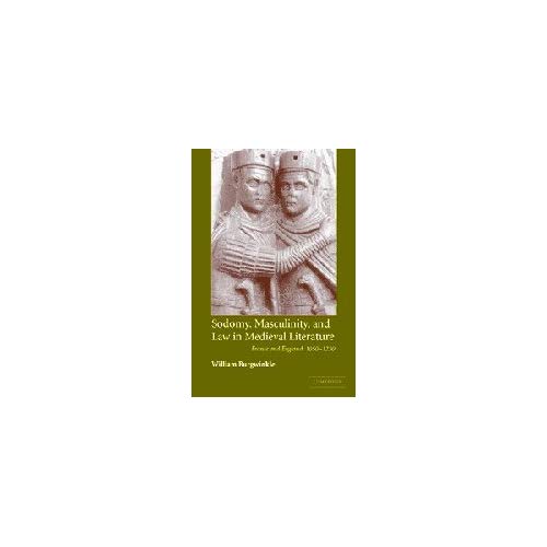 Sodomy, Masculinity and Law in Medieval Literature: France and England, 1050–1230 (Cambridge Studies in Medieval Literature)