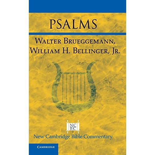 Psalms (New Cambridge Bible Commentary)