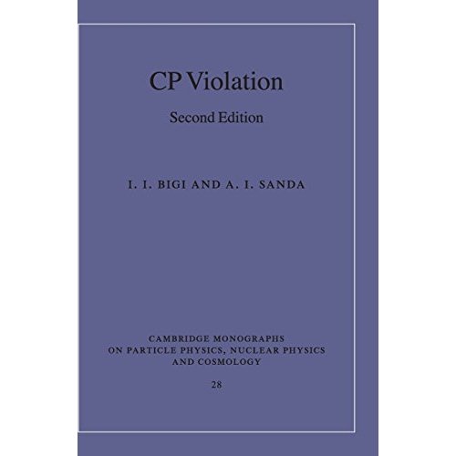 CP Violation