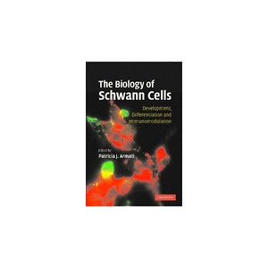 The Biology of Schwann Cells: Development, Differentiation and Immunomodulation